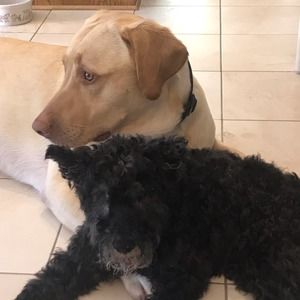 Meet your Posher, Annette